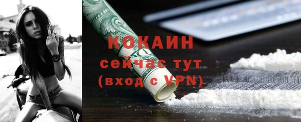 стафф Аркадак