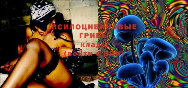 стафф Аркадак