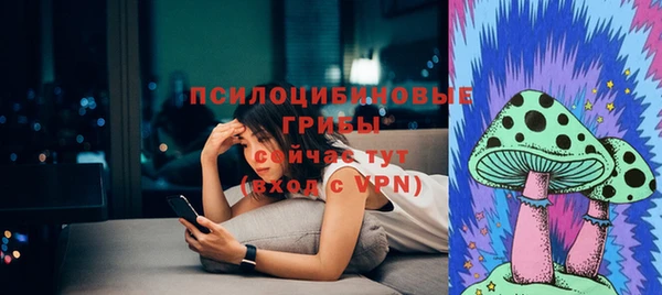 стафф Аркадак