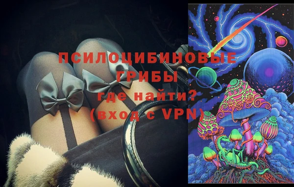 стафф Аркадак