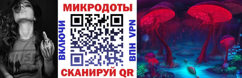 Галлюциногенные грибы мицелий  mega tor  Зеленоградск 